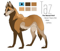 Taz - Maned Wolf
