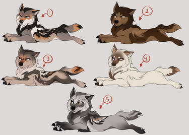 Wolf Pups Set 1 (all claimed)