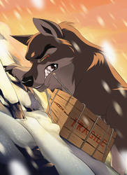 Balto (Video!)