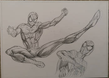 Spiderman study 