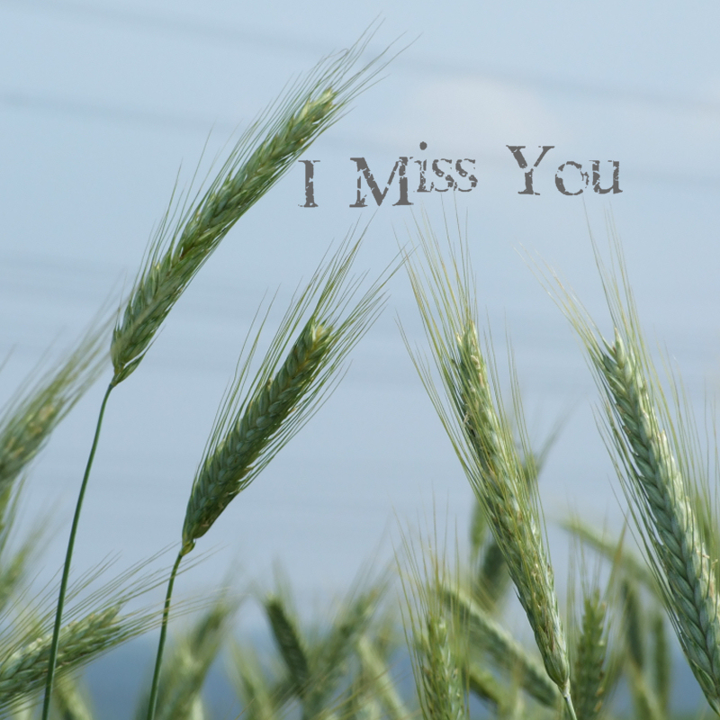 I Miss You