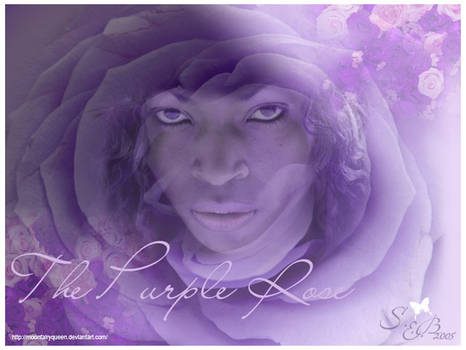 the purple rose