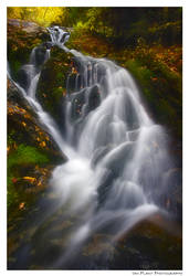 Wedge Brook Cascades