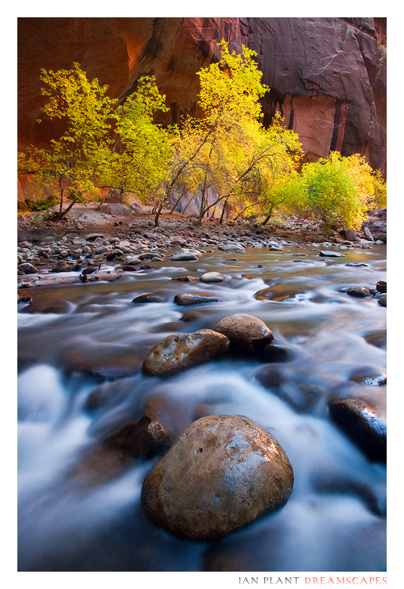 Cottonwood Alcove