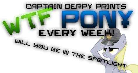 WTF PONY Magazine Banner (IBrony)