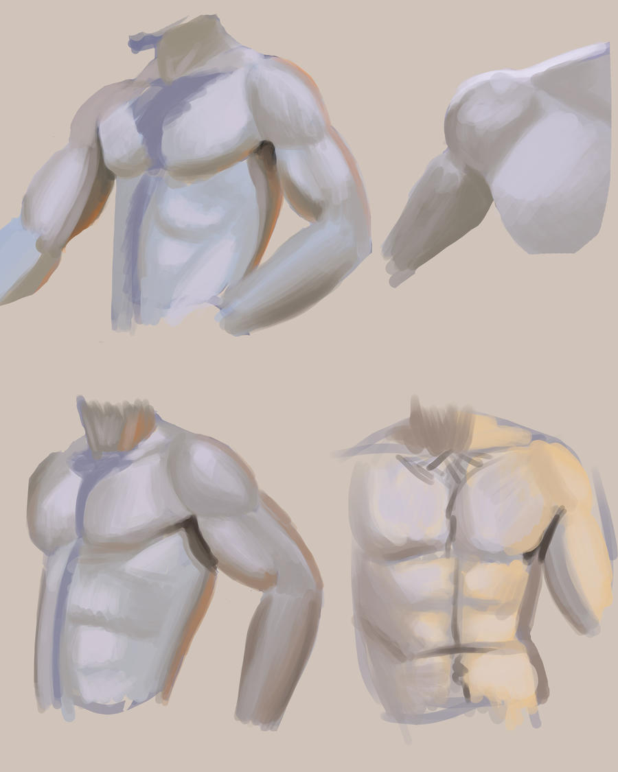 20.12.11: Torso Sketchies