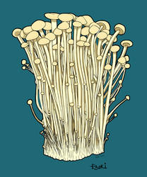 Enoki Mushroom