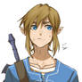 LINK