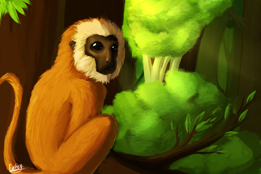 Deviantart 2007 Monkey Monkey by Echey on DeviantArt