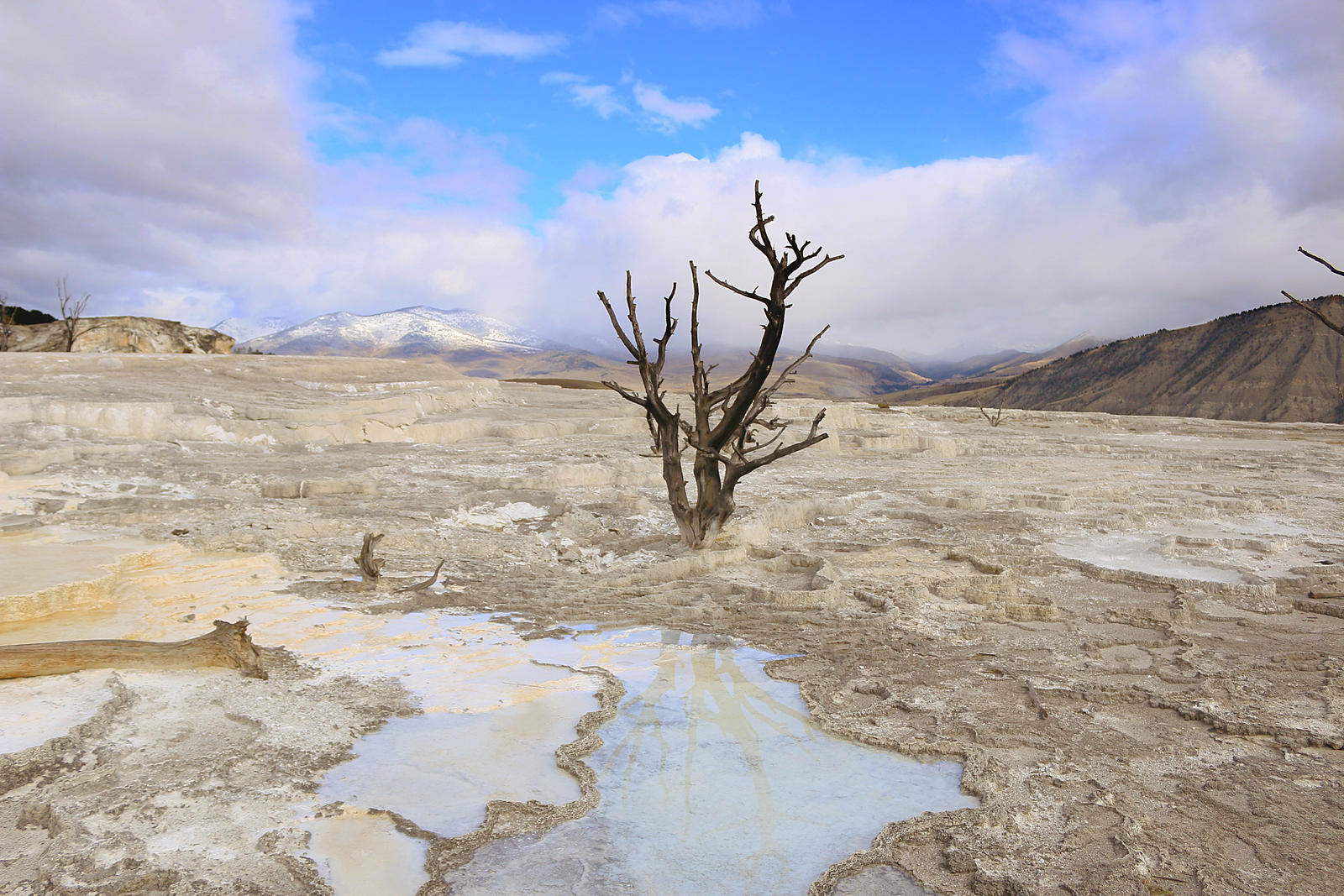 Mammoth Hotsprings