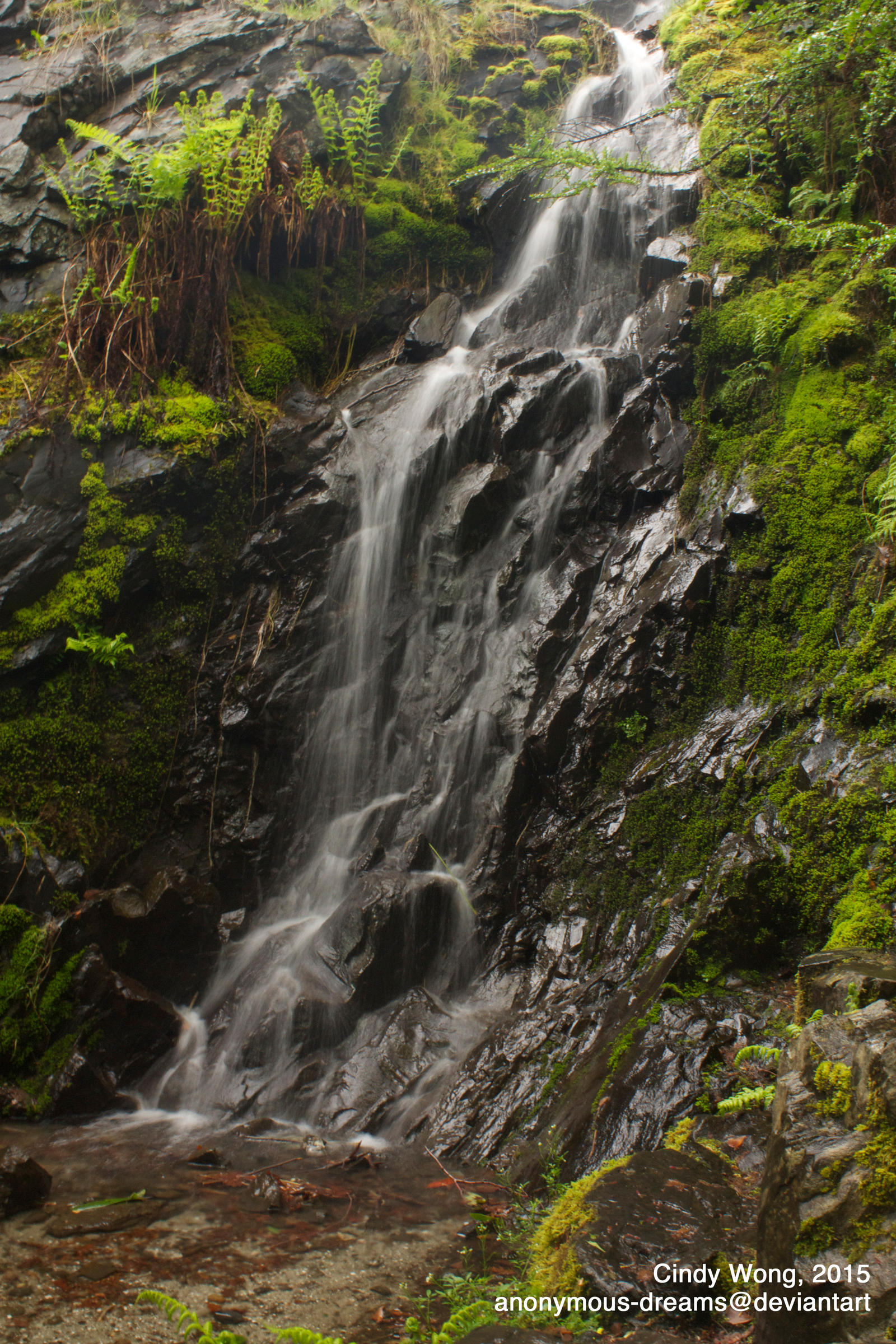 Waterfall at Queen Elizabeth Park