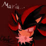 Shadow The Hedgehog