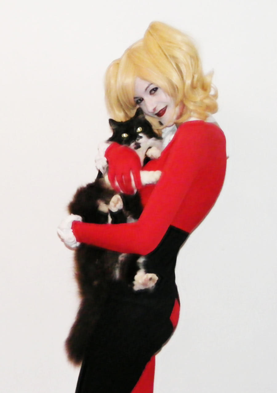 Harley and cat