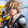 Sora Kingdom Hearts