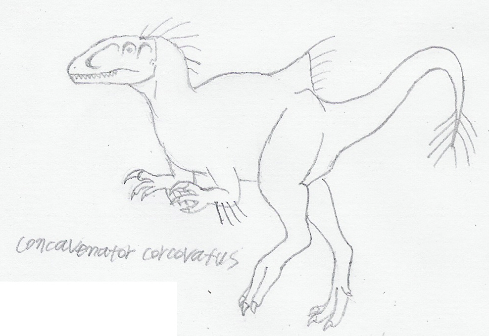 Concavenator