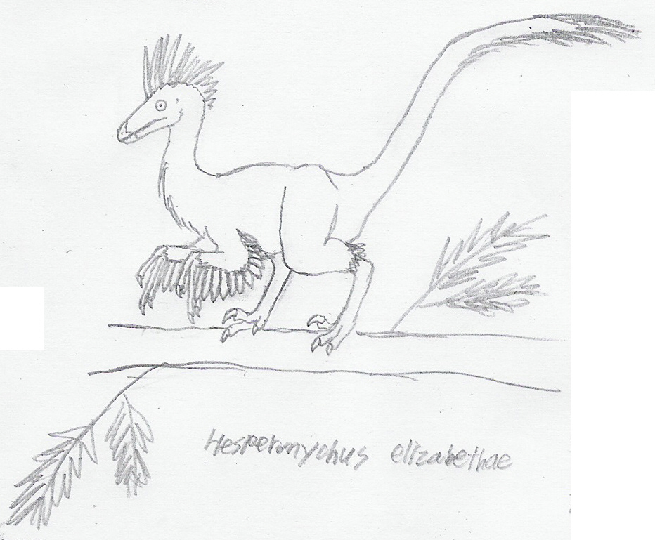 Hesperonychus