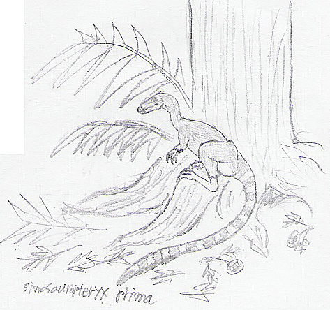 Sinosauropteryx monochrome