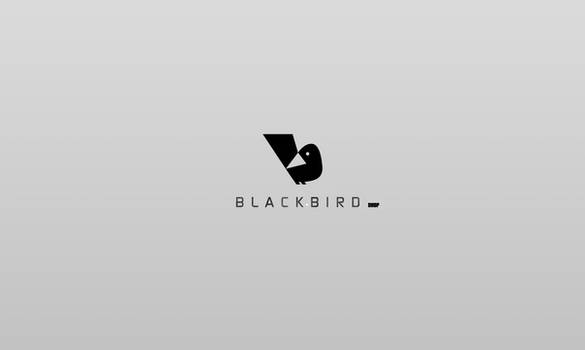 black bird