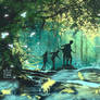 Inside the Forest