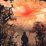 Far from Tomorrow