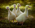 Happy Easter by DeniseSoden