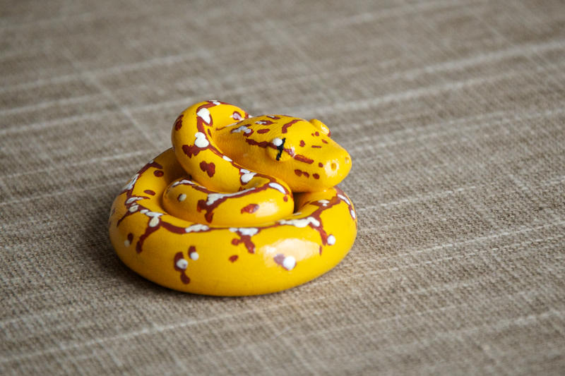 Baby Green Tree Python By Denisesoden On Deviantart