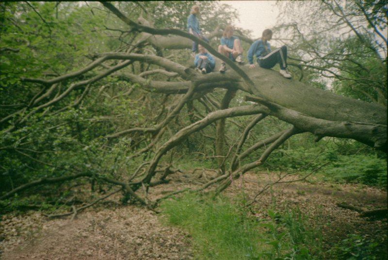 Tree Climbing