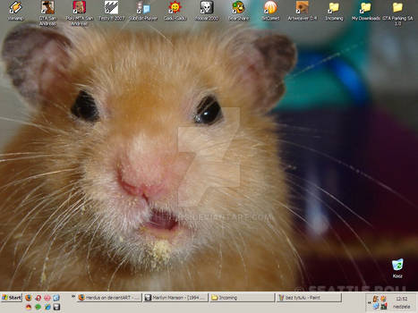 Hamster