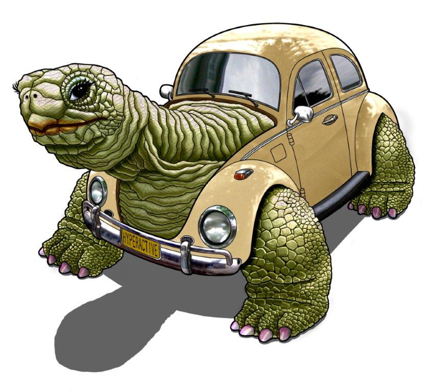 Turtlecar 2