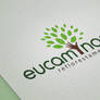 Eucaminas Logo