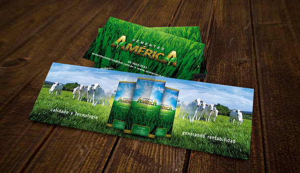 Sementes America Business Card