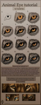 Animal Eye tutorial