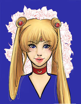 Sailor Senshi Series: Moon