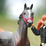 Rider and her new horse