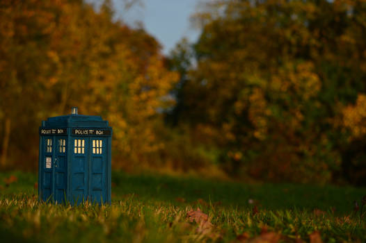 Tardis Landscape