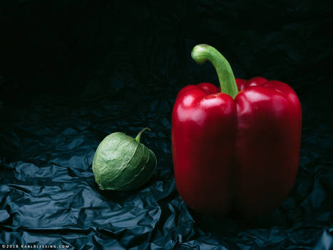 Tomatillo and Pepper (Digital Reference)