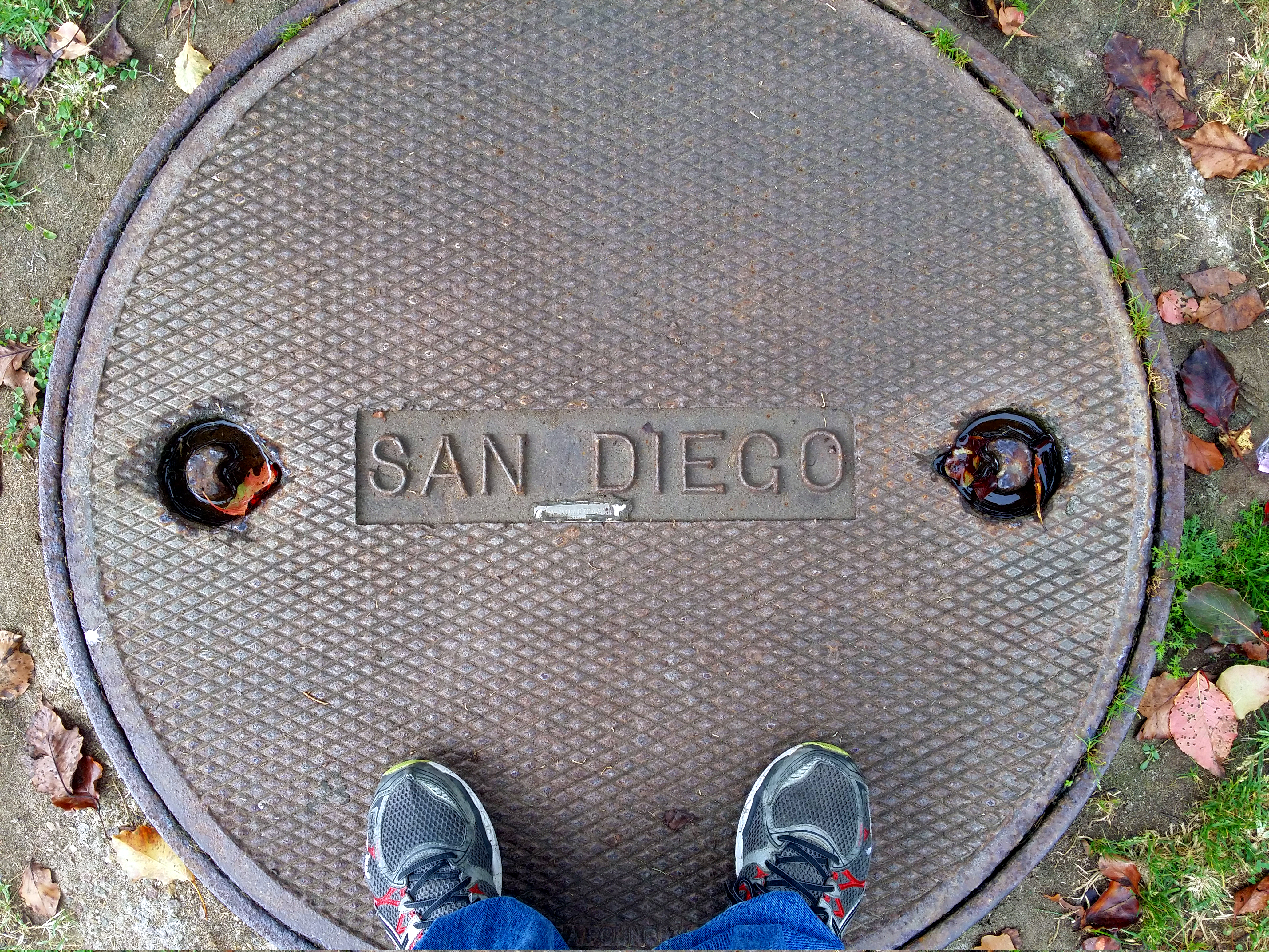 Not My San Diego