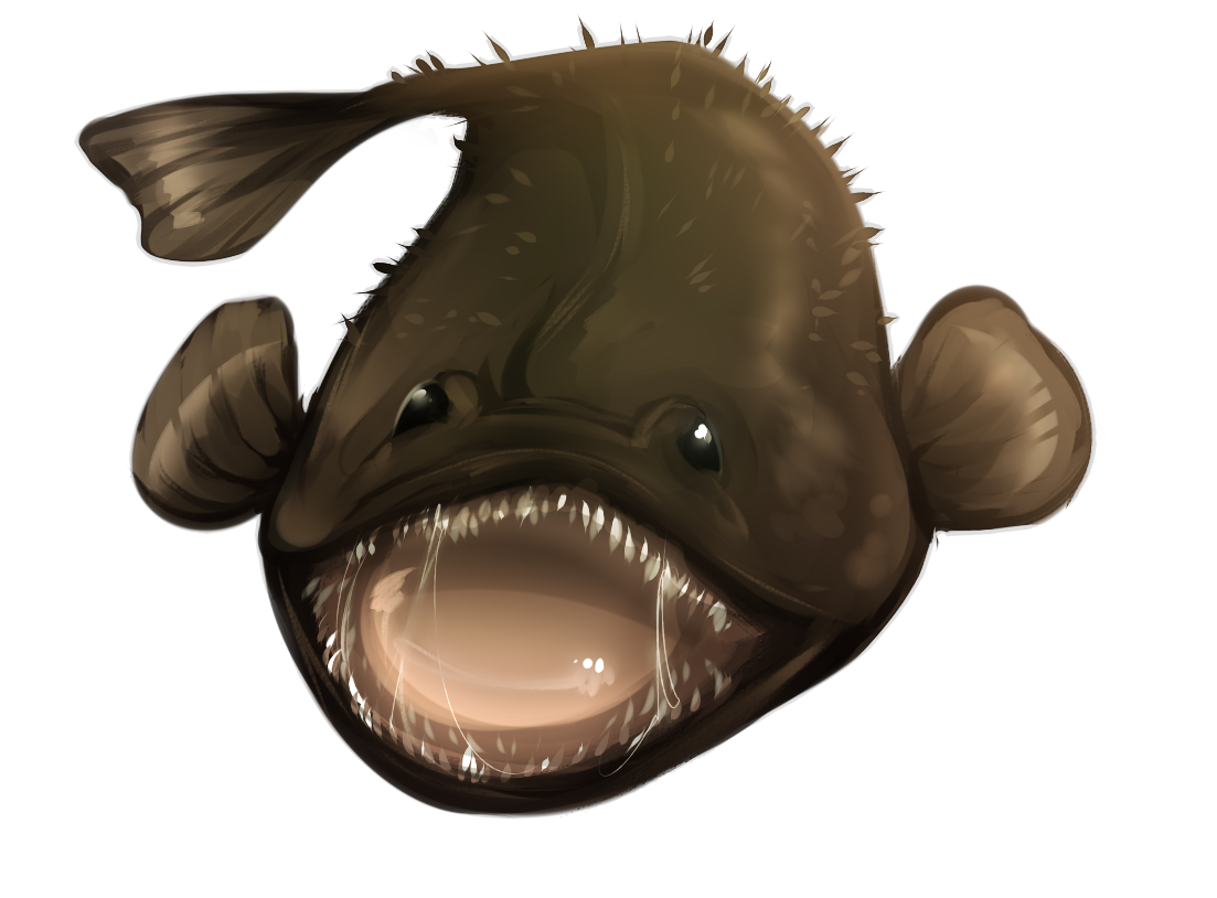 Monkfish by TheOldRay on DeviantArt