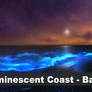 Luminescent Coast - Import background