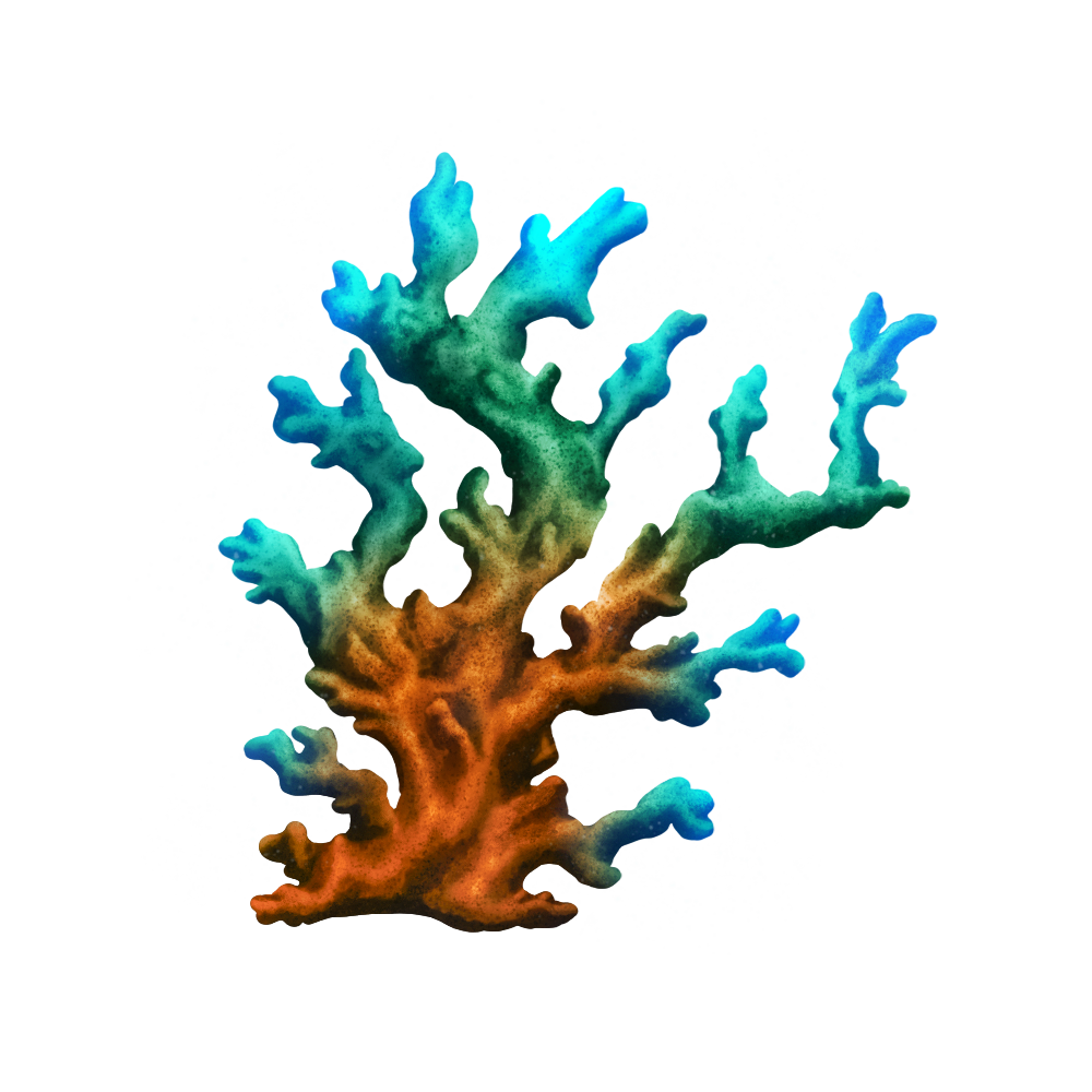 Coral