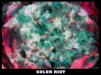 Color Riot