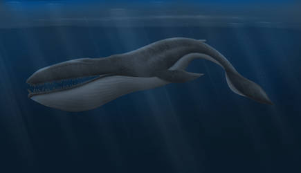 Siren Whale Concept