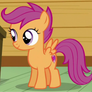 Scootaloo ID