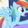 Rainbow Dash 22