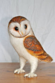 Needle felted Barn Owl