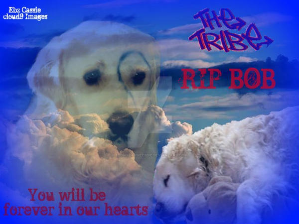 rip bob by ebonycassieebbie on DeviantArt