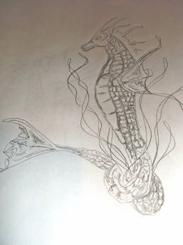 Freehand #9 - Seahorse