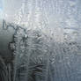 Frost Texture 2