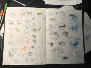 Eyes studies