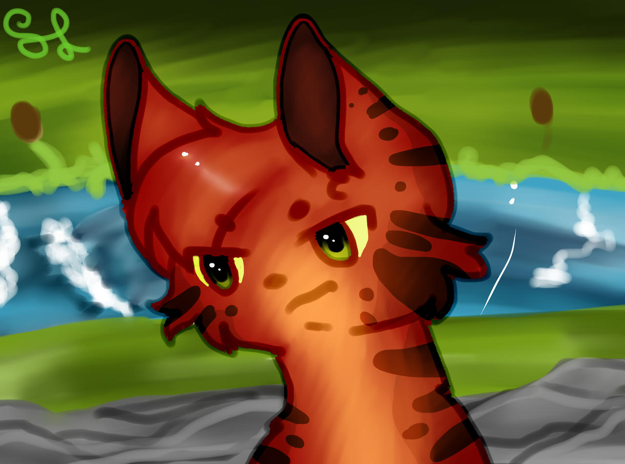 Spring Fire Star Firestar by trremble on DeviantArt